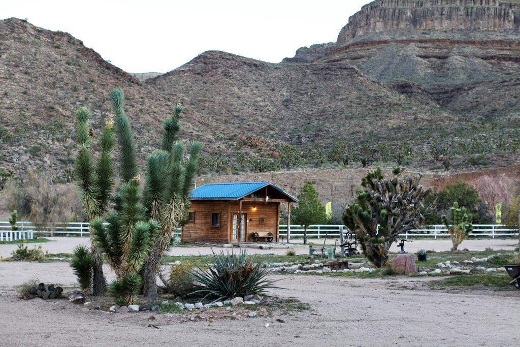 Grand Canyon Western Ranch Meadview Bagian luar foto