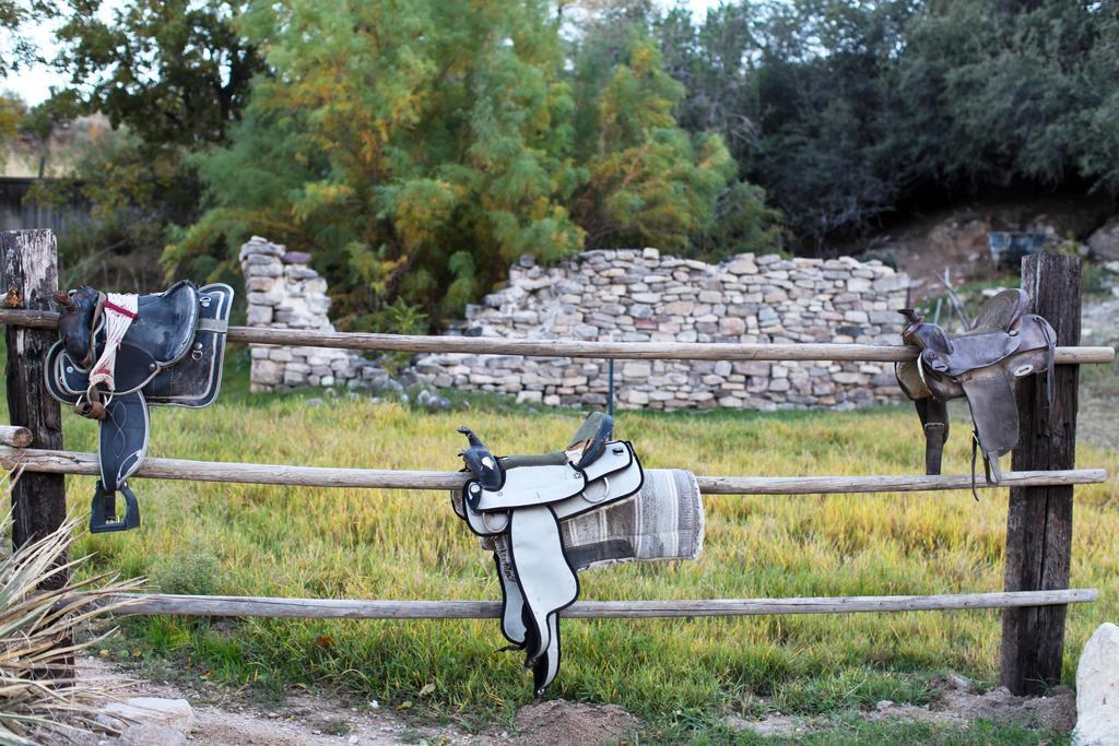 Grand Canyon Western Ranch Meadview Bagian luar foto