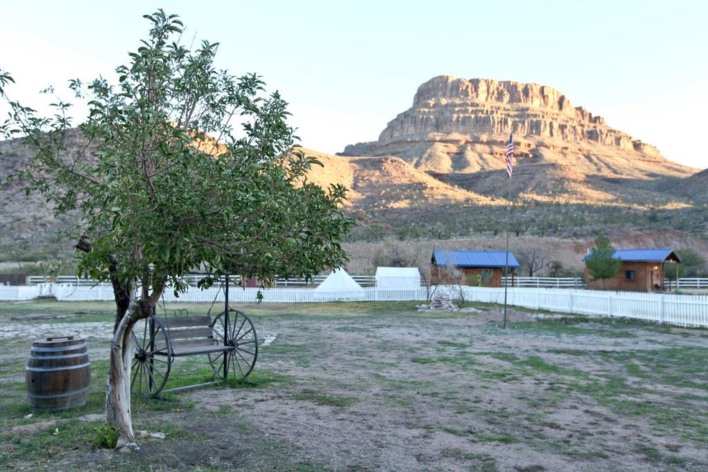 Grand Canyon Western Ranch Meadview Bagian luar foto