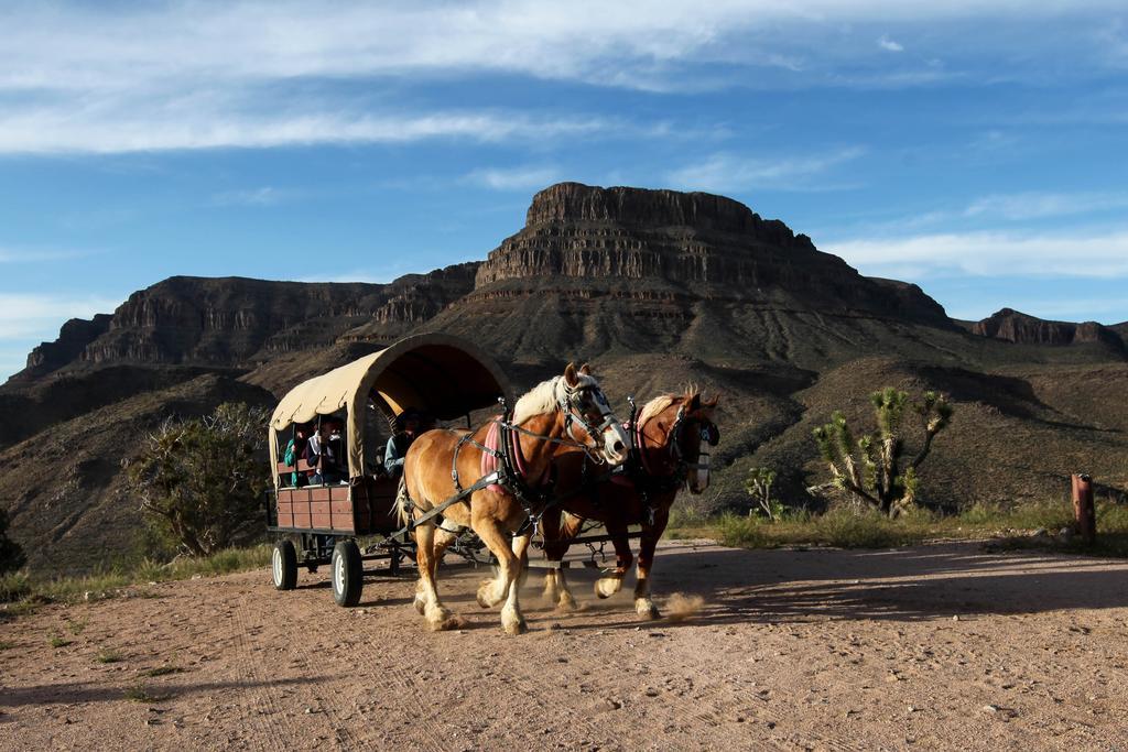 Grand Canyon Western Ranch Meadview Bagian luar foto