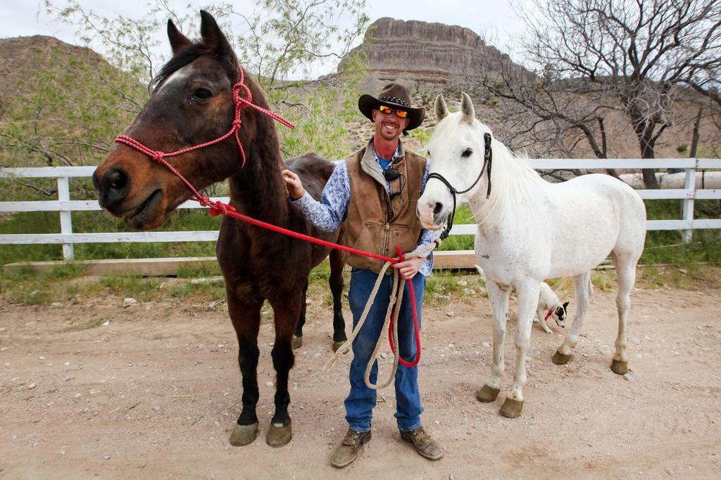 Grand Canyon Western Ranch Meadview Bagian luar foto