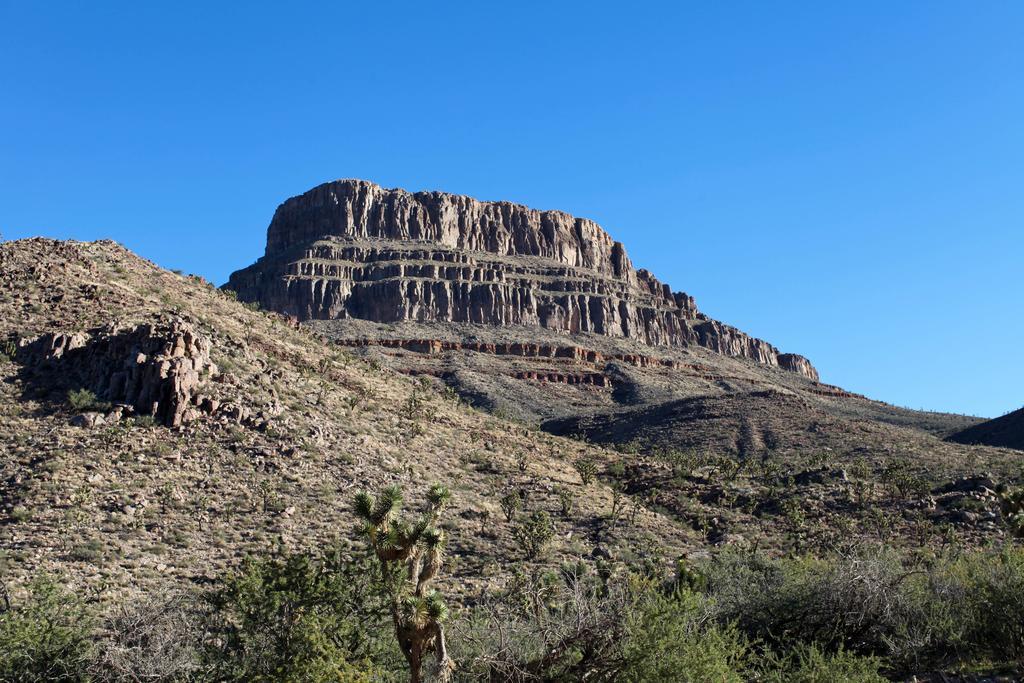 Grand Canyon Western Ranch Meadview Bagian luar foto