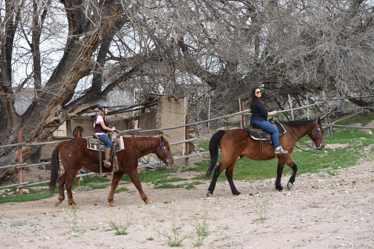 Grand Canyon Western Ranch Meadview Bagian luar foto